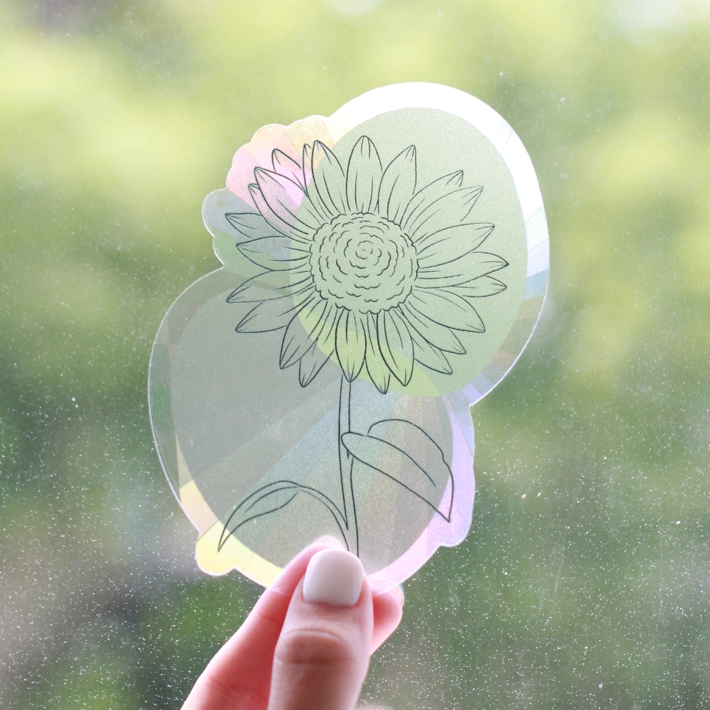 Sun Catcher Window Decal