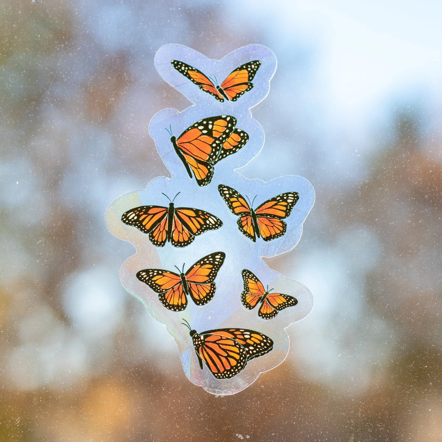 Sun Catcher Window Decal