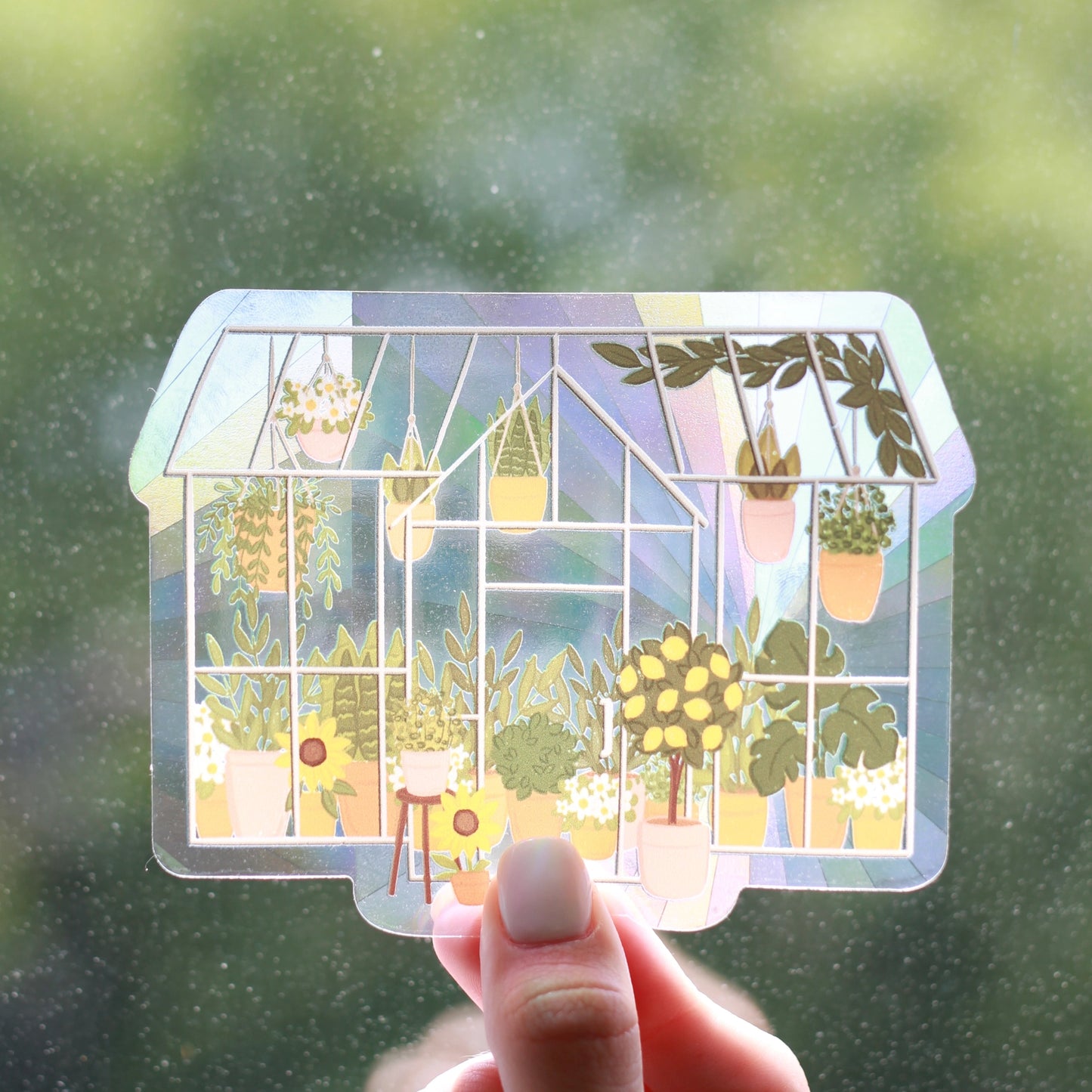 Sun Catcher Window Decal
