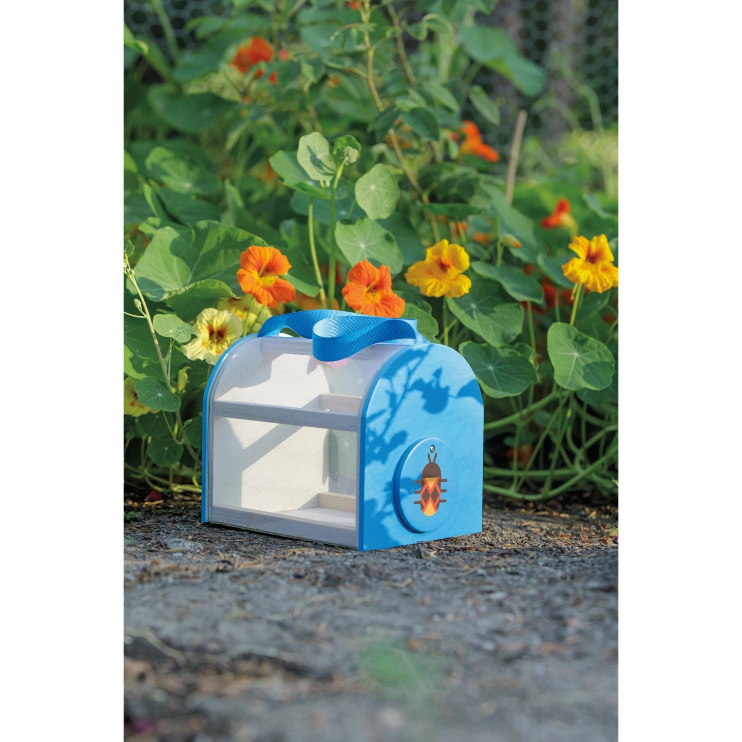 Beetle & Bee Critter Case