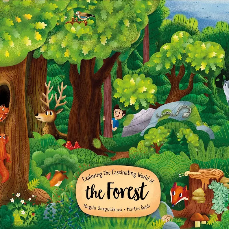 Layered Board Children's Book