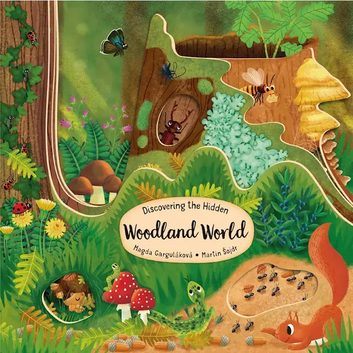 Layered Board Children's Book
