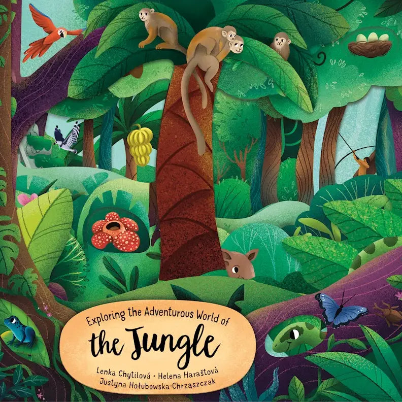 Layered Board Children's Book