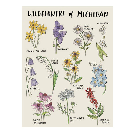 Michigan Wildflowers Print