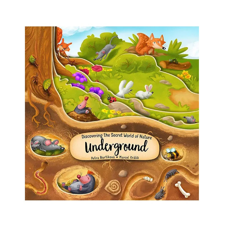 Layered Board Children's Book