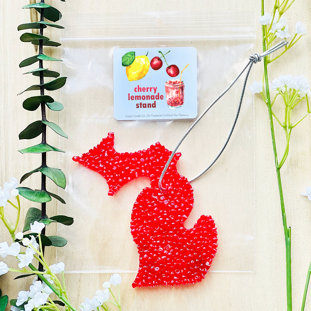 Summer Car Air Fresheners