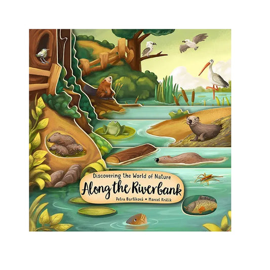 Layered Board Children's Book